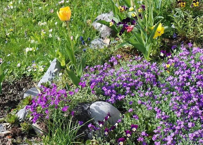 Bella Romantica Brunig Pass