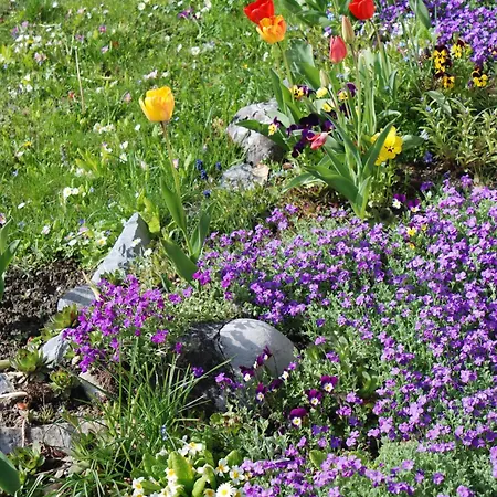 Bella Romantica Brunig Pass